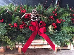 Birch Holiday Log